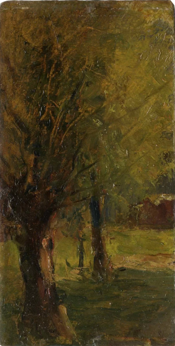 Il bosco